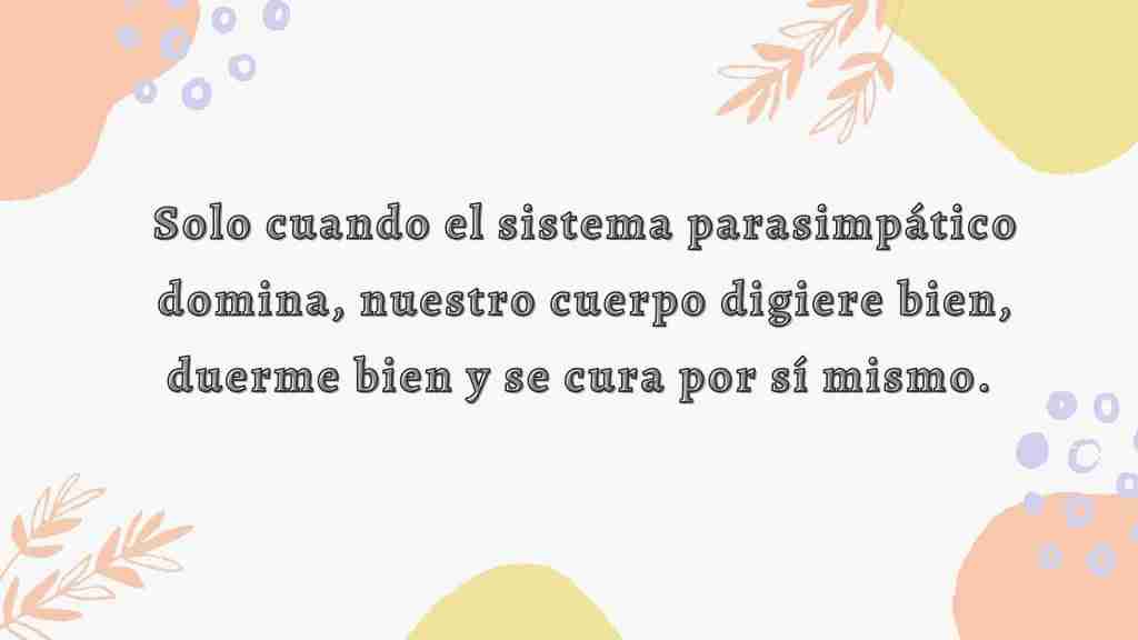Solo cuando el sistema parasimpático domina, nuestro cuerpo digiere bien, duerme bien y se cura por sí mismo. 